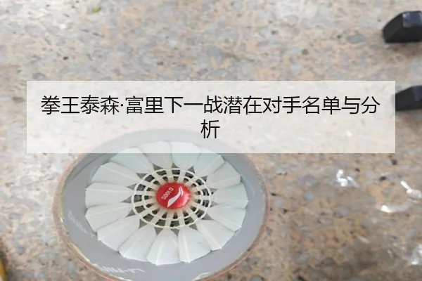 拳王泰森·富里下一战潜在对手名单与分析